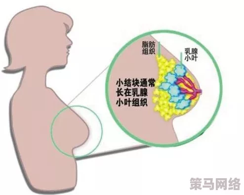 啊不要好爽！最新研究揭示快感与大脑神经活动的惊人关系，引发科学界热议与公众关注