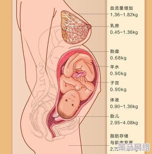 alpha孕囊顶开 分娩：最新进展揭示分娩过程中的关键因素与母婴健康影响