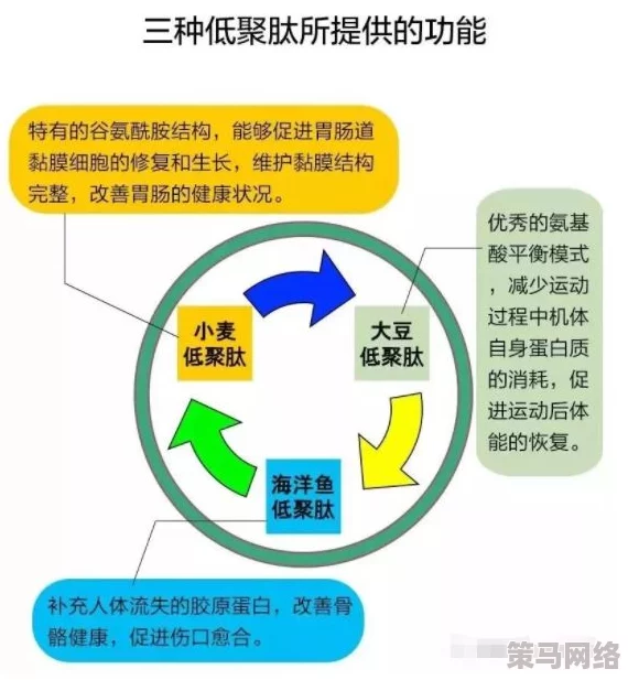 91轻量：如何在日常生活中实现高效能与低负担的完美平衡