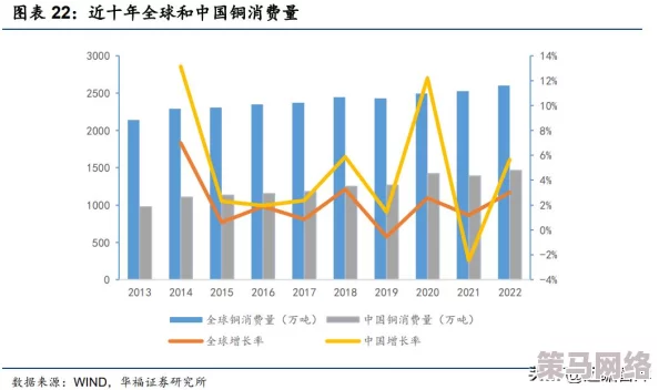 977国产连接线的技术创新与市场应用分析：推动电子行业发展的新动力与挑战