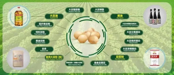 嘿料网：全新功能上线，用户体验大幅提升，助力内容创作者更好地分享与交流！