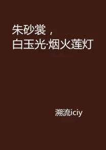 506寝室的灯灭了小莲灯以后，学生们如何在黑暗中团结互助、寻找解决办法与成长的故事