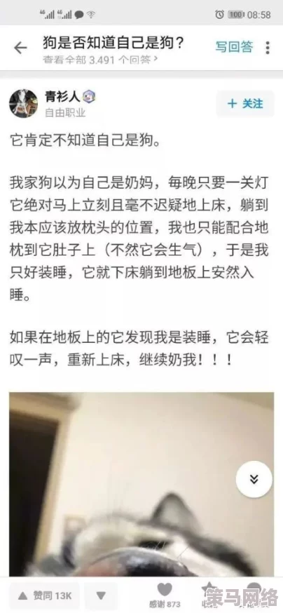 51黑料吃瓜莫里秀：网络热议背后的真相与网友深度见解解析，让你更了解事件背后的故事