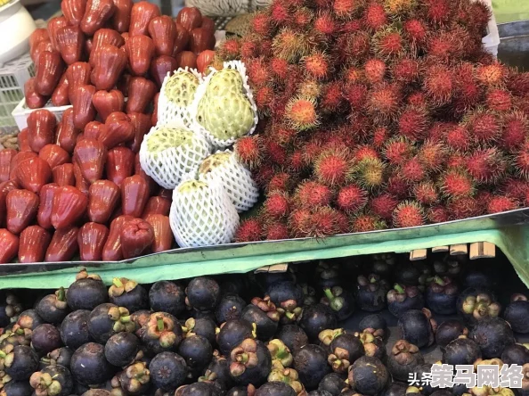 男人天堂大波萝：震撼登场，颠覆传统娱乐界，引发全网热议与疯狂追捧！